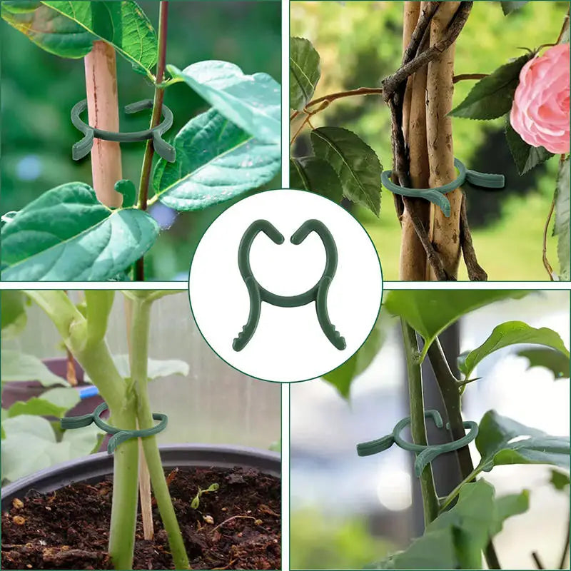100/200pcs Plant Support Clips – 3 Sizes, Climbing Plants Plant Support Clips Richie's