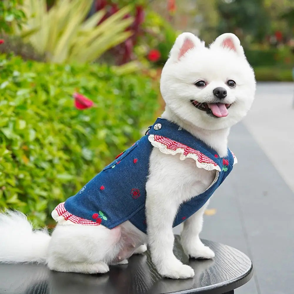 Denim Dog Dress Harness Set with Leash – Cherry Pattern Skirt Dog Dress Harness Richie's