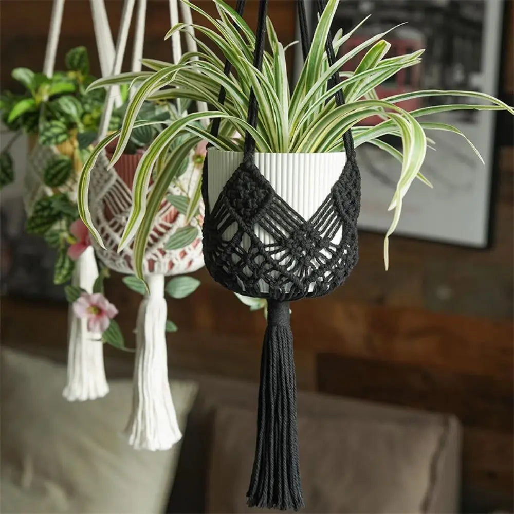 Boho Macrame Plant Hanger Cotton Rope Net Pouch for Succulents Macrame Plant Hanger Richie's
