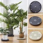 Plant Saucer with Wheels – Rolling Plastic Pot Tray 19/22/25cm Rolling Plant Saucer Richie's