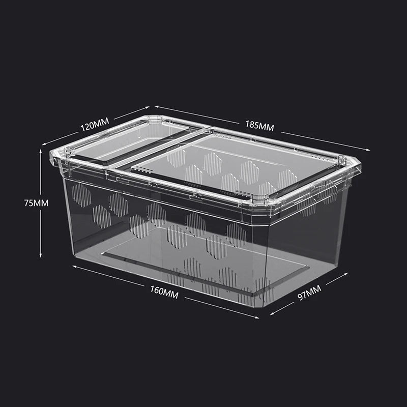 Reptile Breeding Box Transparent Vivarium Tank for Lizards & Spiders Reptile Vivarium Richie's A1