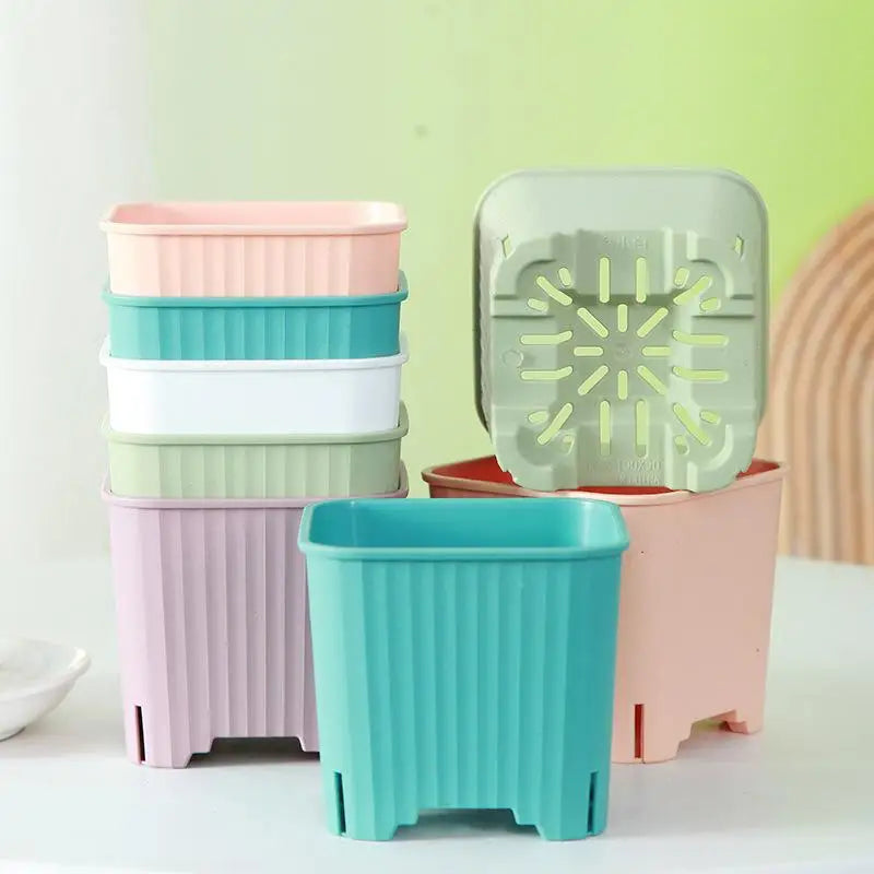 Square Plastic Plant Pots with Drainage – Multicolor Nursery Plant Nursery Pots Richie's