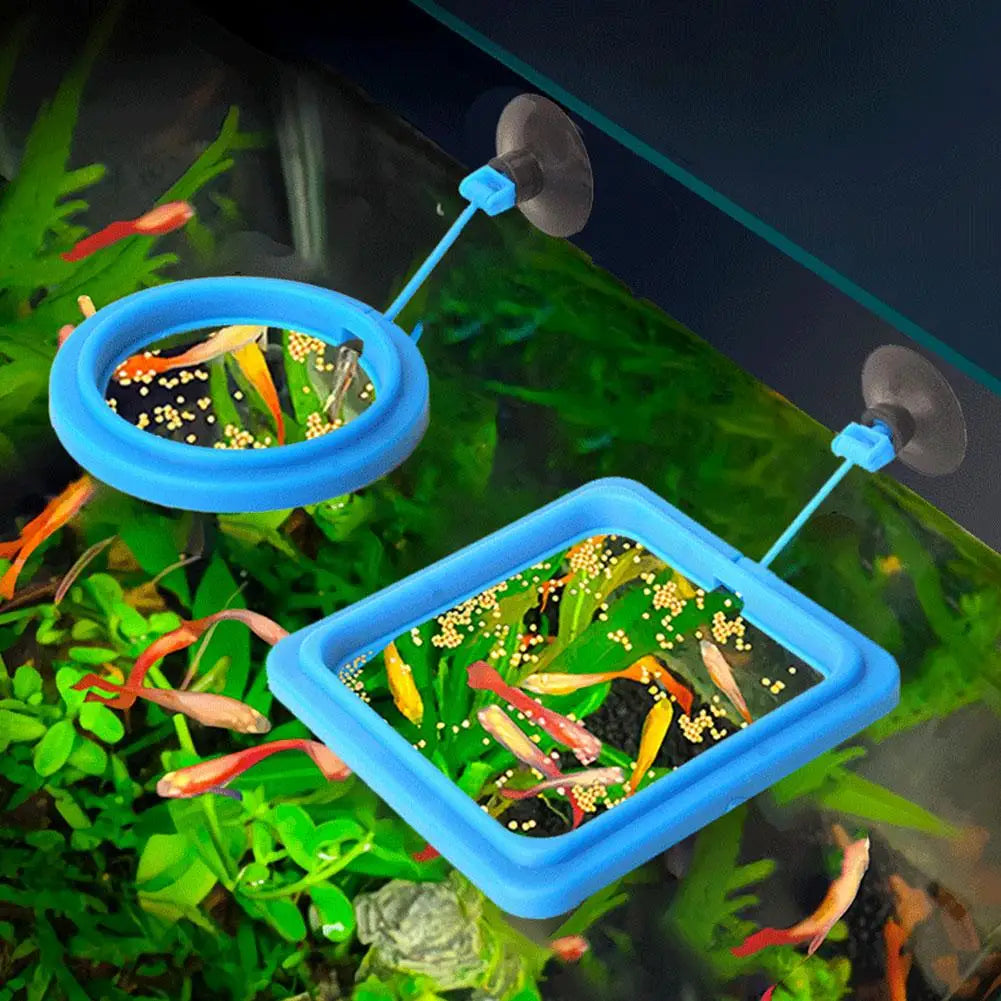 Floating Fish Feeding Ring with Suction Cup – Aquarium Feeder Aquarium Feeding Ring Richie's