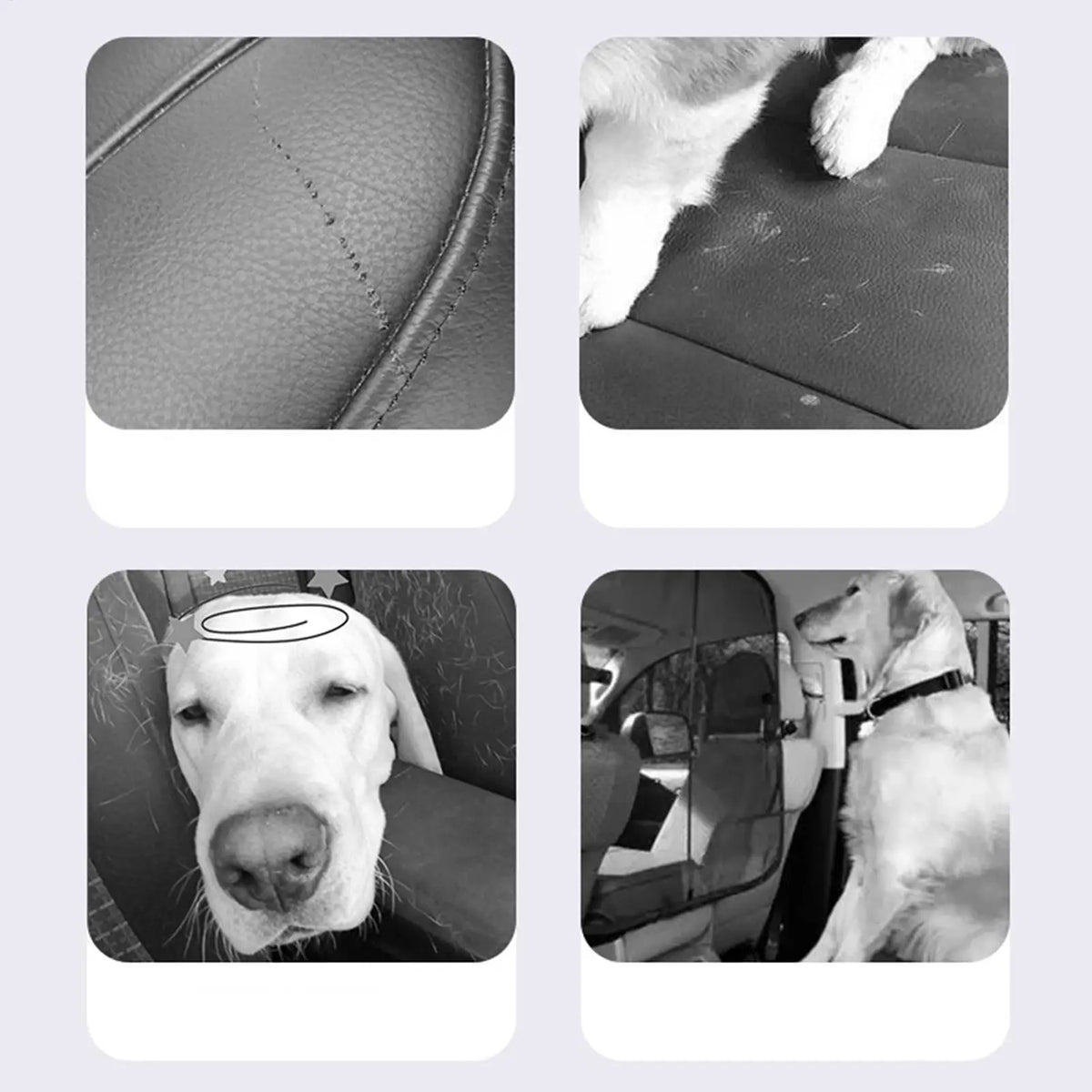 Waterproof Dog Car Seat Cover & Pet Booster Seat for Trucks Pet Car Seat Cover Richie's
