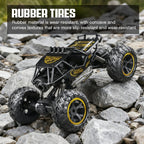 2.4G RC Alloy Off-Road Climbing Car with Lights & Spray RC Off-Road Car Richie's