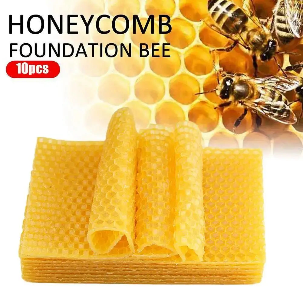 10 Pcs Beeswax Honeycomb Foundation Sheets – Beekeeping Beekeeping Foundation Richie's