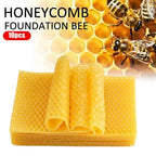10 Pcs Beeswax Honeycomb Foundation Sheets – Beekeeping Beekeeping Foundation Richie's