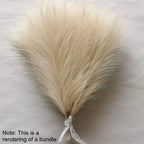 10pcs Faux Reed Grass Feather Stems – Artificial Home Décor Artificial Flower Stems Richie's Beige 10pcs