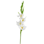 Purple White Artificial Gladiolus Branch – PU Fake Flower Stem Artificial Flower Stem Richie's White