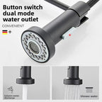 Pull-Out Spring Kitchen Faucet 304 Stainless Steel Hot & Cold Kitchen Faucet Richie's