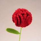 Handmade Crochet Carnation Bouquet – Colorful Knit Wool Flowers Crochet Flower Bouquet Richie's Red