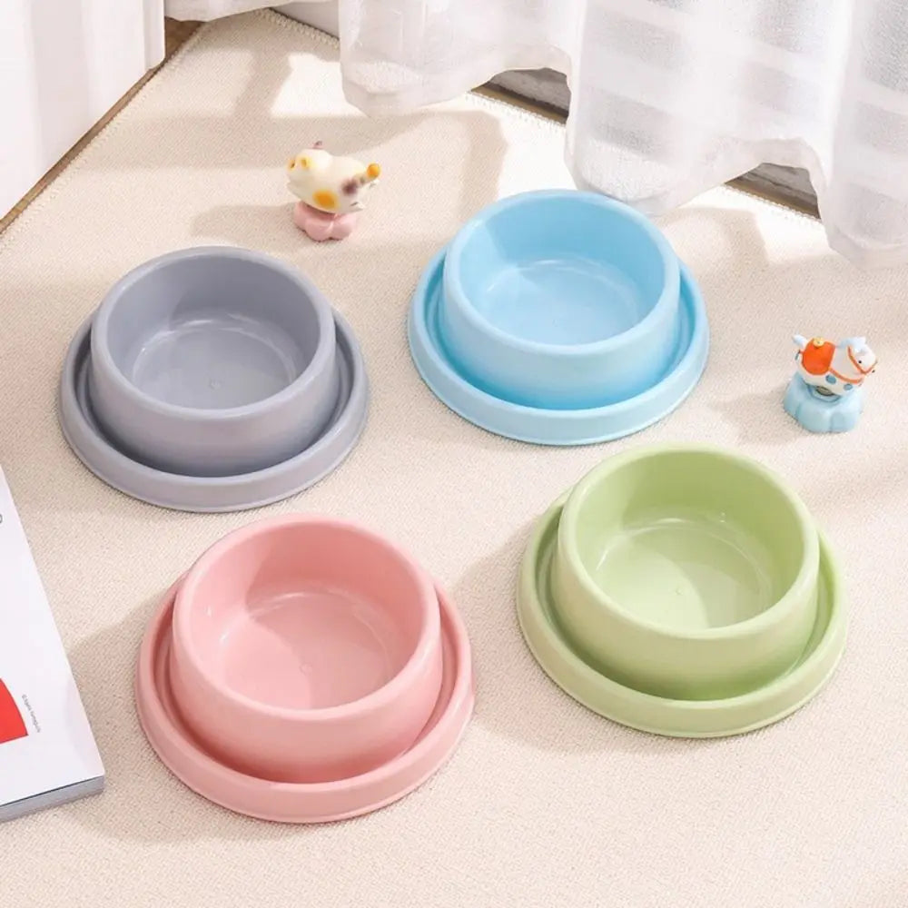 BPA-Free Anti-Ant Cat Bowl with Water Moat | Pet Feeder Cat Feeding Bowl Richie's