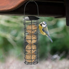 3-Pack Hanging Wild Bird Feeders – Transparent Seed Dispenser Wild Bird Feeder Richie's
