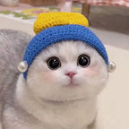 Handmade Funny Cat Hat – Pet Cosplay Party Photo Shoot Prop Pet Costume Hat Richie's S-A