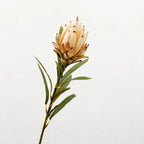 Flocked Artificial Emperor Protea Flower Large Silk Bloom 65cm Artificial Flower Richie's B-Khaki