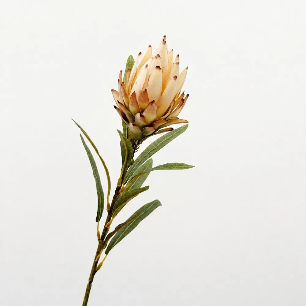 Flocked Artificial Emperor Protea Flower Large Silk Bloom 65cm Artificial Flower Richie's B-Khaki