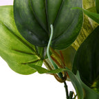 Artificial Aquarium Plant – Realistic Plastic Fish Tank Decor Aquarium Decor Plant Richie's Default Title