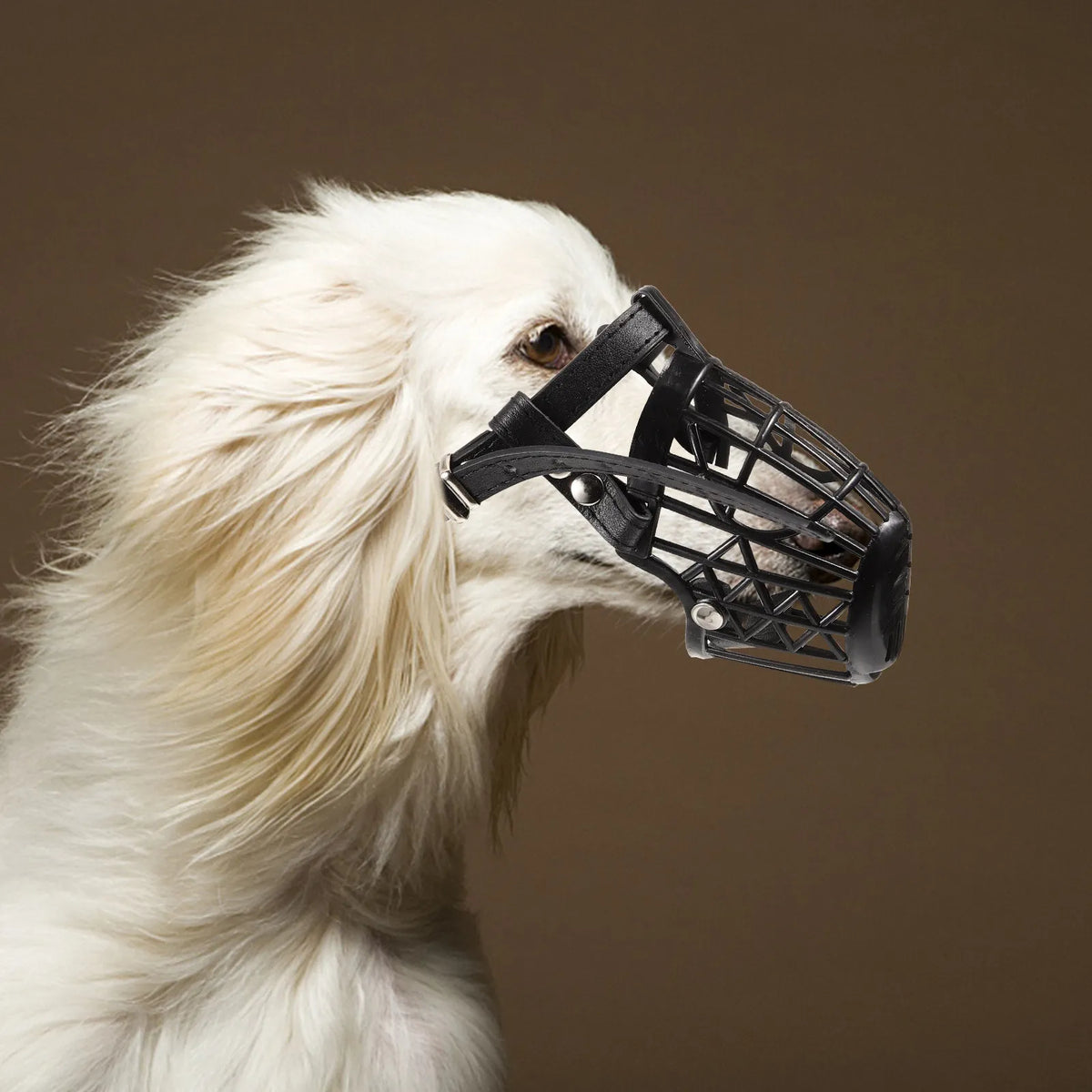7-Size Plastic Basket Dog Muzzle Set – All Breeds, Adjustable Dog Muzzle Set Richie's Default Title