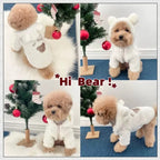 Cartoon Bear Plush Dog Hoodie with Hat – Warm Winter Pet Coat Pet Winter Hoodie Richie's