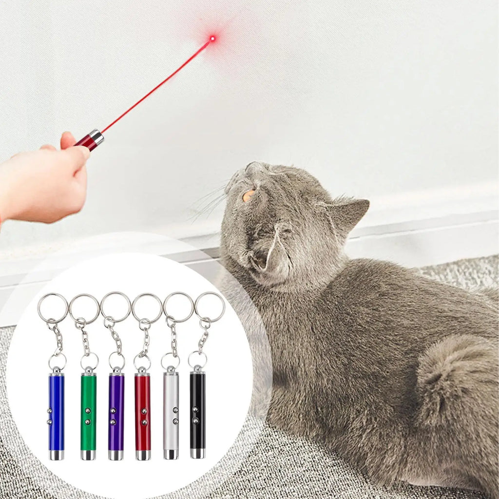 Cat Laser Pointer Toy Pen – LED Keychain Flashlight for Cats Cat Laser Toy Richie's
