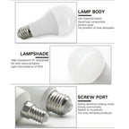 E27 LED Bulb 5W–24W | 6000K Cool White & 3000K Warm White LED Light Bulb Richie's
