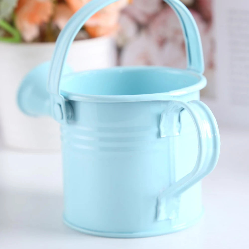 Kawaii Vintage Metal Watering Can – Flower & Plant Kettle Metal Watering Can Richie's