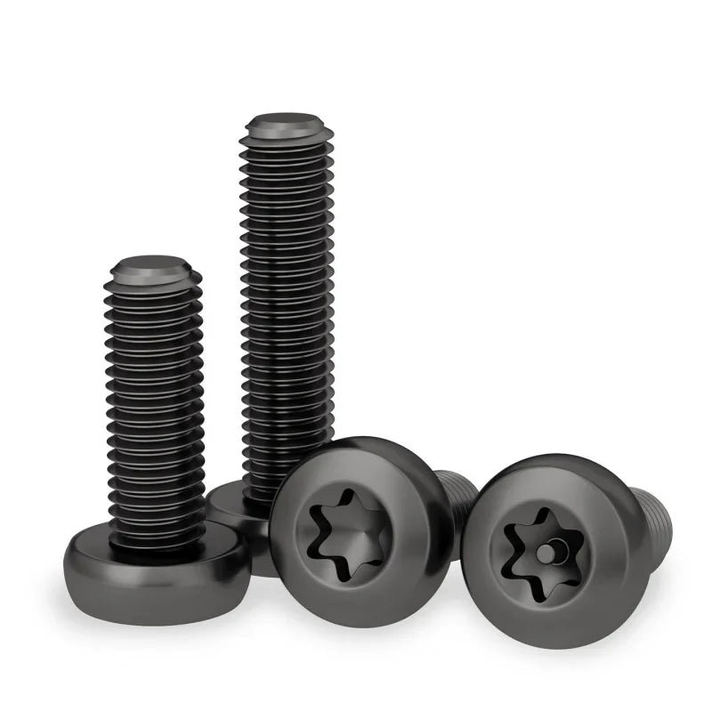 Black 304 SS Torx Pan Head Tamper-Proof Security Screws M3–M10 Security Screws Richie's