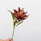 Flocked Artificial Emperor Protea Flower Large Silk Bloom 65cm Artificial Flower Richie's A-Coffee