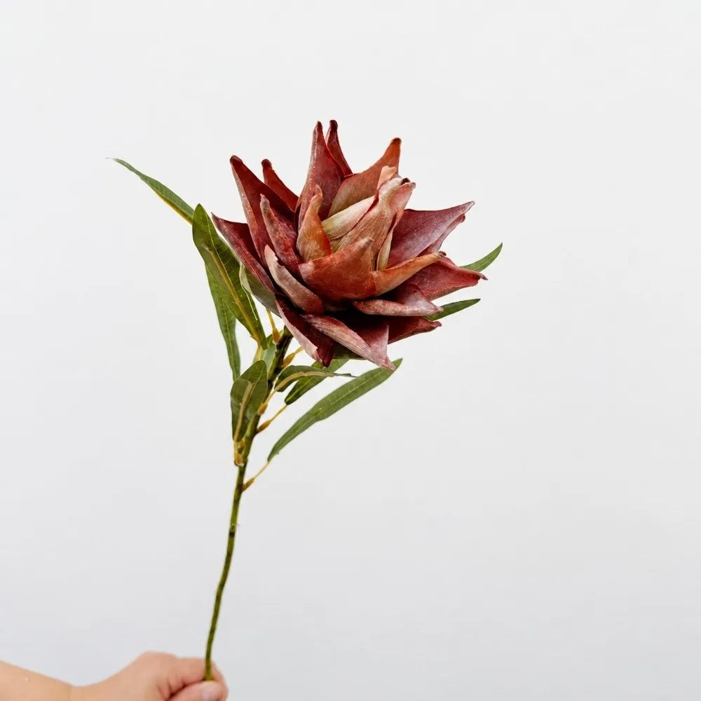 Flocked Artificial Emperor Protea Flower Large Silk Bloom 65cm Artificial Flower Richie's A-Coffee