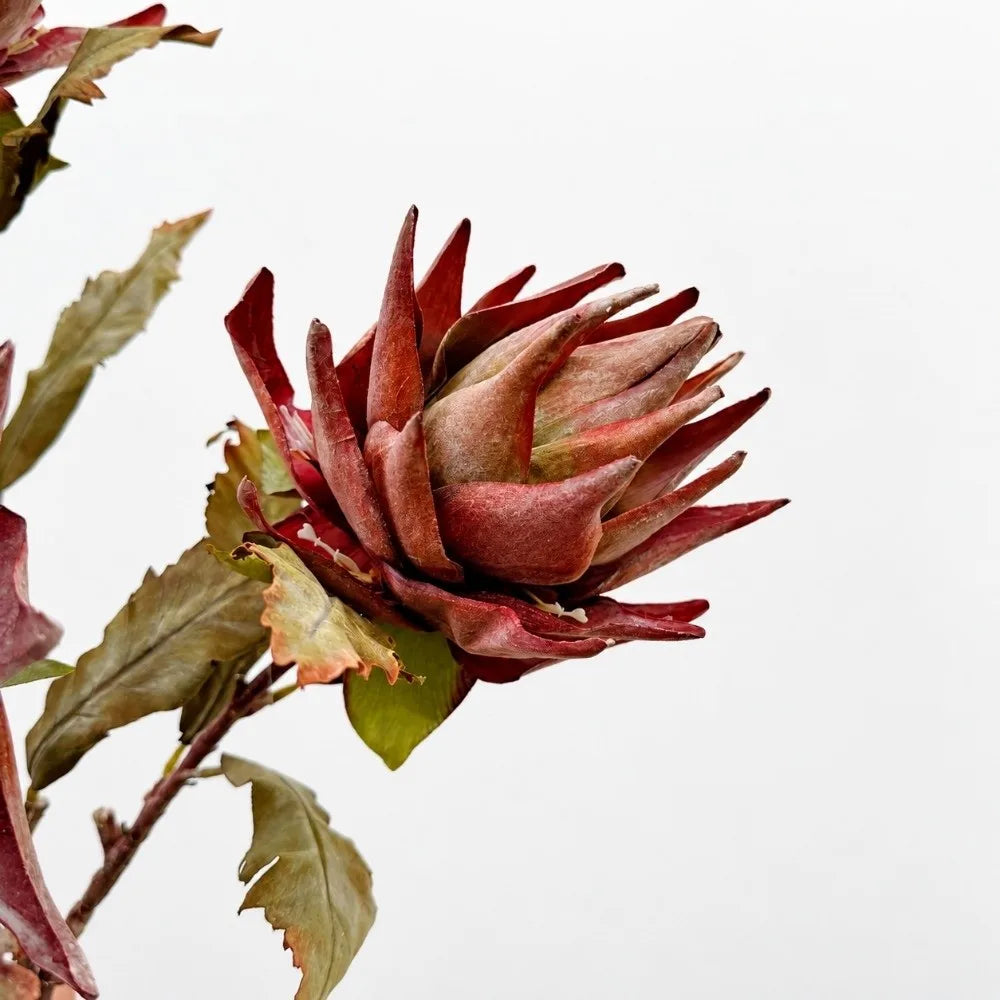 Flocked Artificial Emperor Protea Flower Large Silk Bloom 65cm Artificial Flower Richie's L-Coffee