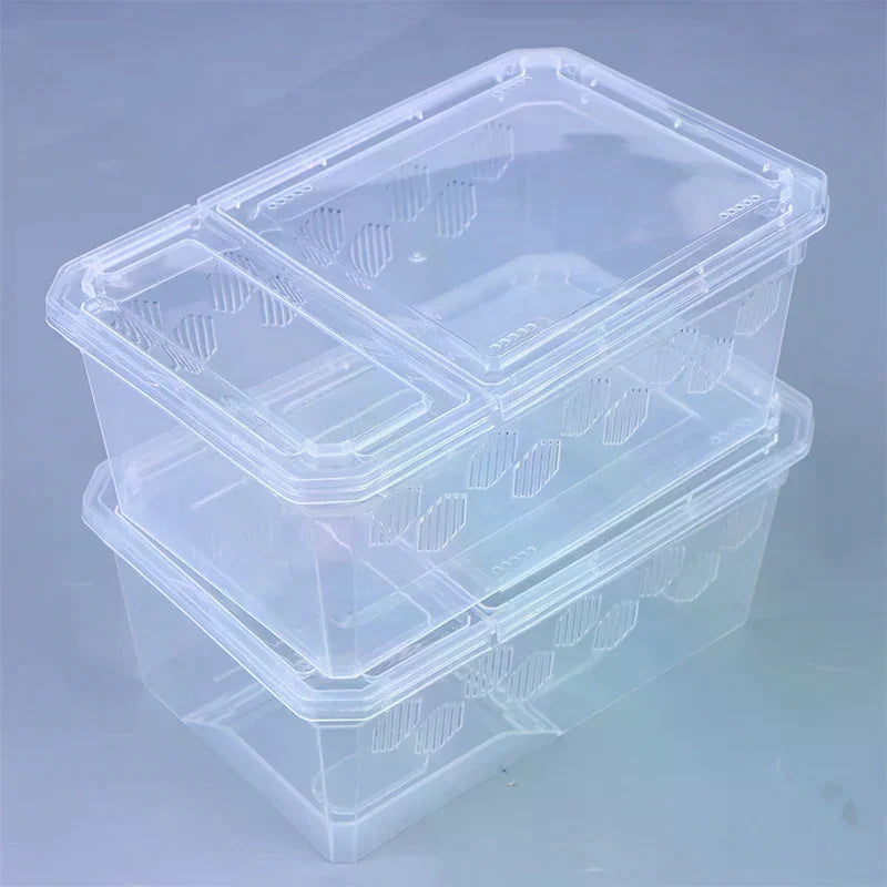Reptile Breeding Box Transparent Vivarium Tank for Lizards & Spiders Reptile Vivarium Richie's