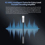 KZ AM01 Portable DAC Amplifier USB-C to 3.5mm Headphone Adapter DAC Headphone Amplifier Richie's
