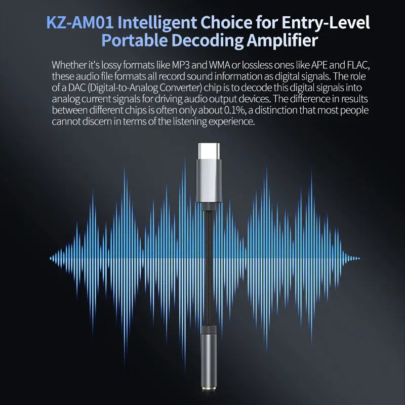KZ AM01 Portable DAC Amplifier USB-C to 3.5mm Headphone Adapter DAC Headphone Amplifier Richie's