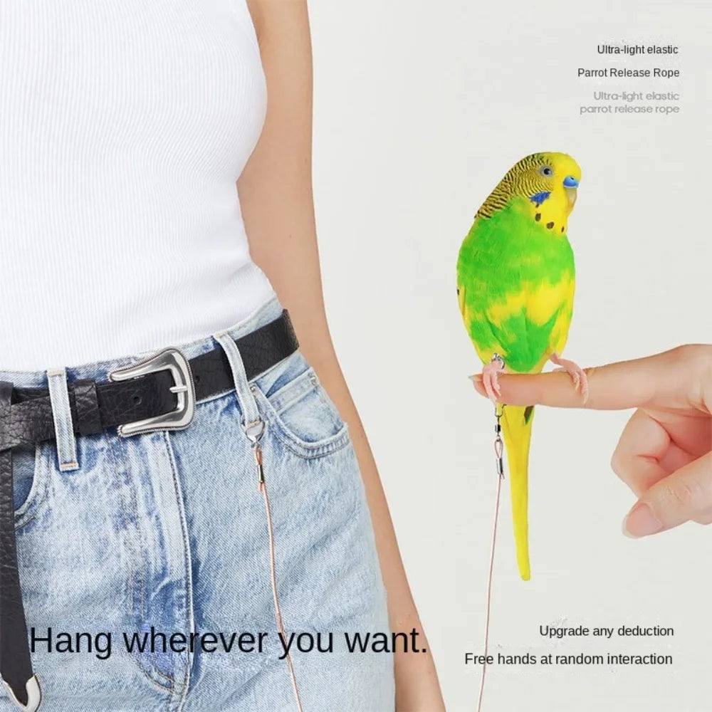 Elastic Parrot Traction Rope with Metal Buckle & Foot Chain Bird Training Leash Richie's
