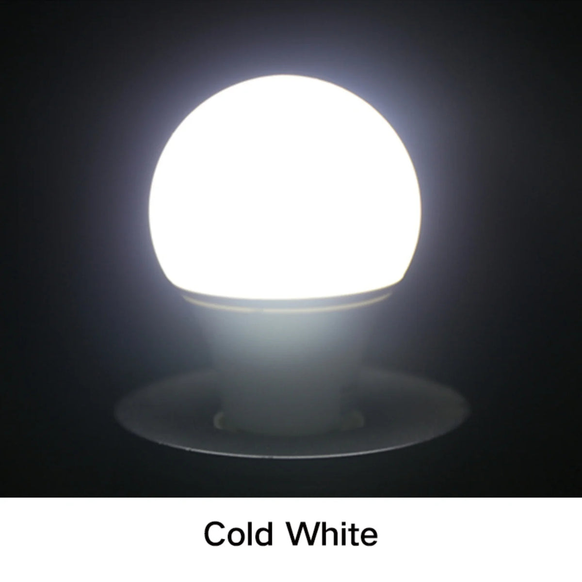 E27 LED Bulb 5W–24W | 6000K Cool White & 3000K Warm White LED Light Bulb Richie's 6000K E27 24W