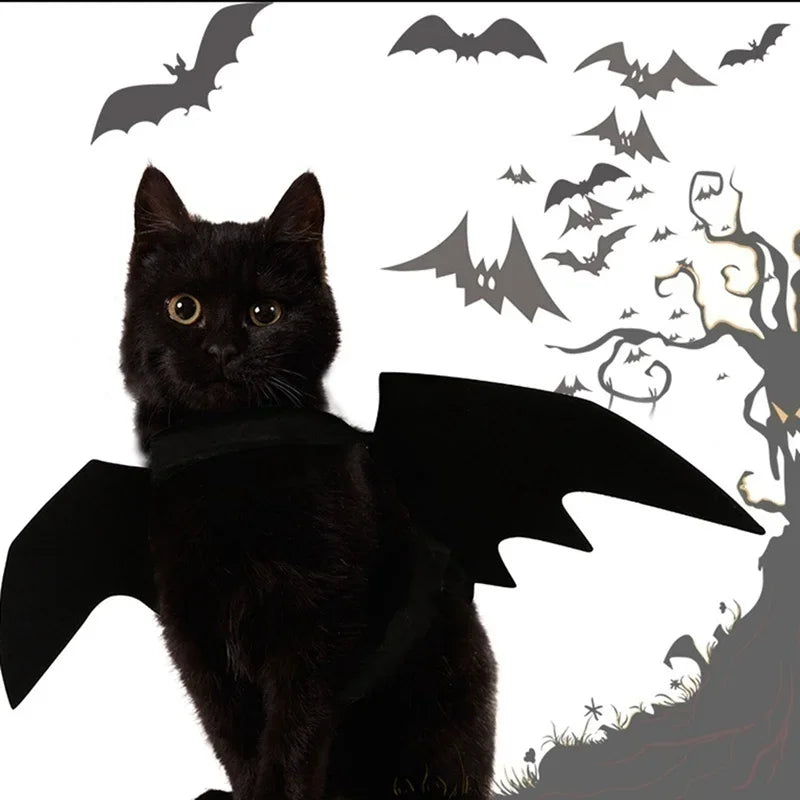 Halloween Bat Wings Harness Costume for Cats & Dogs Pet Costume Richie's
