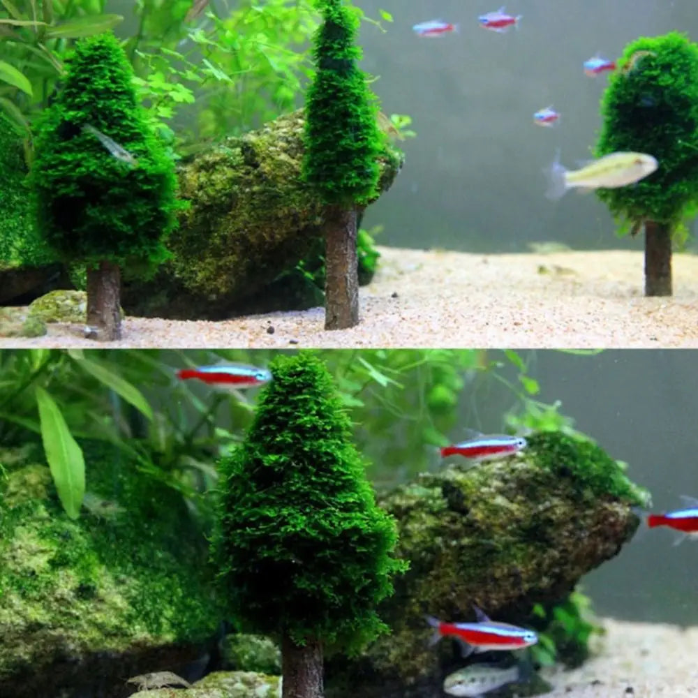 Mini Christmas Tree Aquarium Moss Plant Holder | Tank Decor Aquarium Plant Holder Richie's