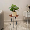 Metal Indoor Plant Stand Small Round Flower Rack Modern Style Indoor Plant Stand Richie's Default Title