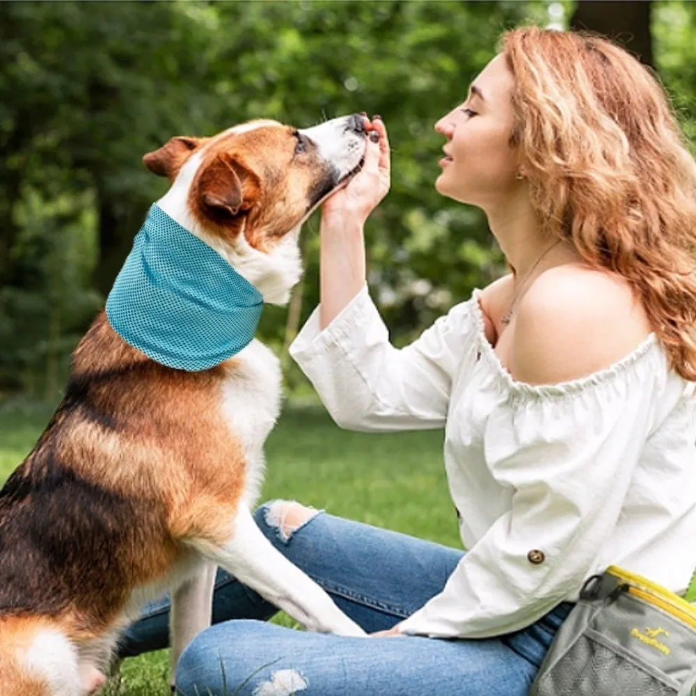 Pet Cooling Towel Scarf with Leash Hole | Dog Ice Collar Dog Cooling Scarf Richie's