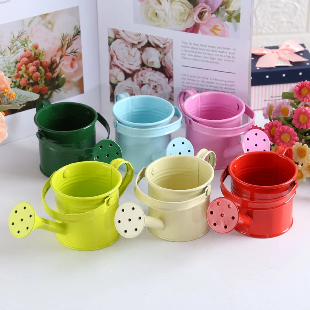 Kawaii Vintage Metal Watering Can – Flower & Plant Kettle Metal Watering Can Richie's