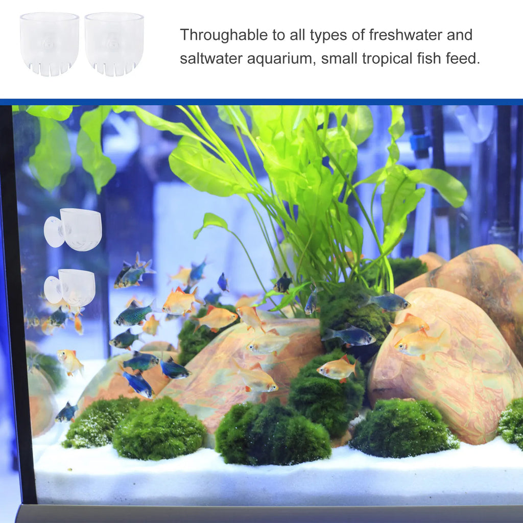 2Pcs Clear Acrylic Aquarium Fish Feeder Cup – Shrimp Worm Feeder Aquarium Feeder Cup Richie's