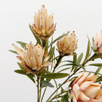 Flocked Artificial Emperor Protea Flower Large Silk Bloom 65cm Artificial Flower Richie's