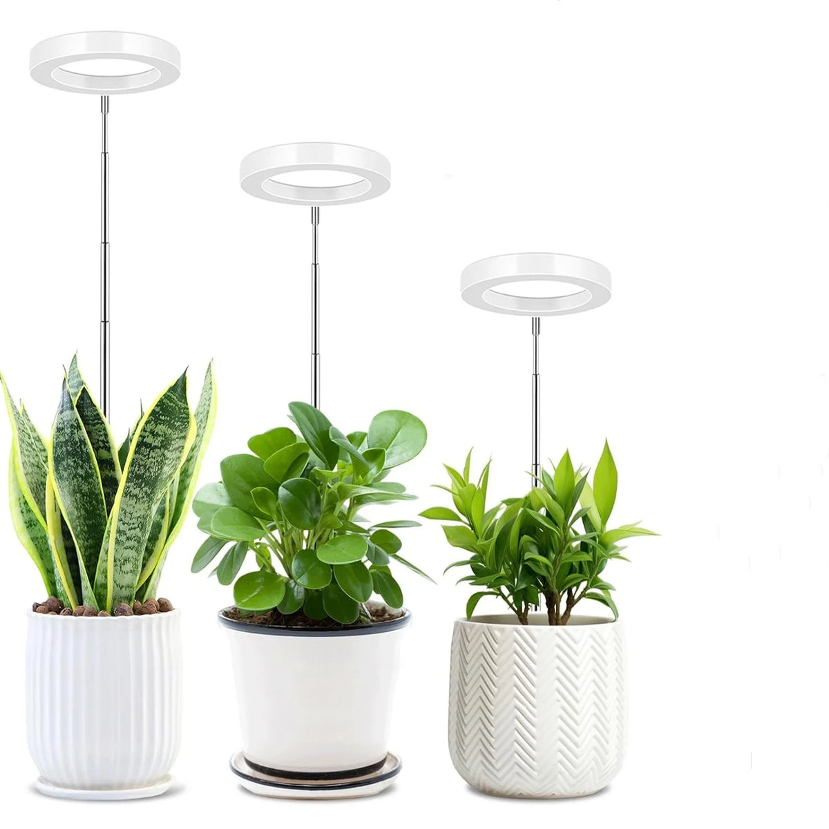 USB Angel Ring Grow Light – Full Spectrum Clip Plant Lamp LED Grow Light Richie's
