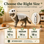 Dinosaur Skeleton Pet Costume – Halloween Cat & Dog Outfit Pet Halloween Costume Richie's