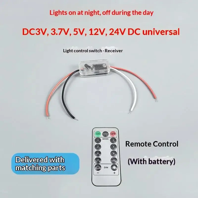Light Sensor Auto Switch with Remote & Timer | DC 5V–24V Light Sensor Switch Richie's Transparent wire