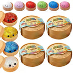 Glitter Dumpling Squishy Sensory Fidget Toy with Steamer Box Squishy Fidget Toy Richie's Random 4PCS