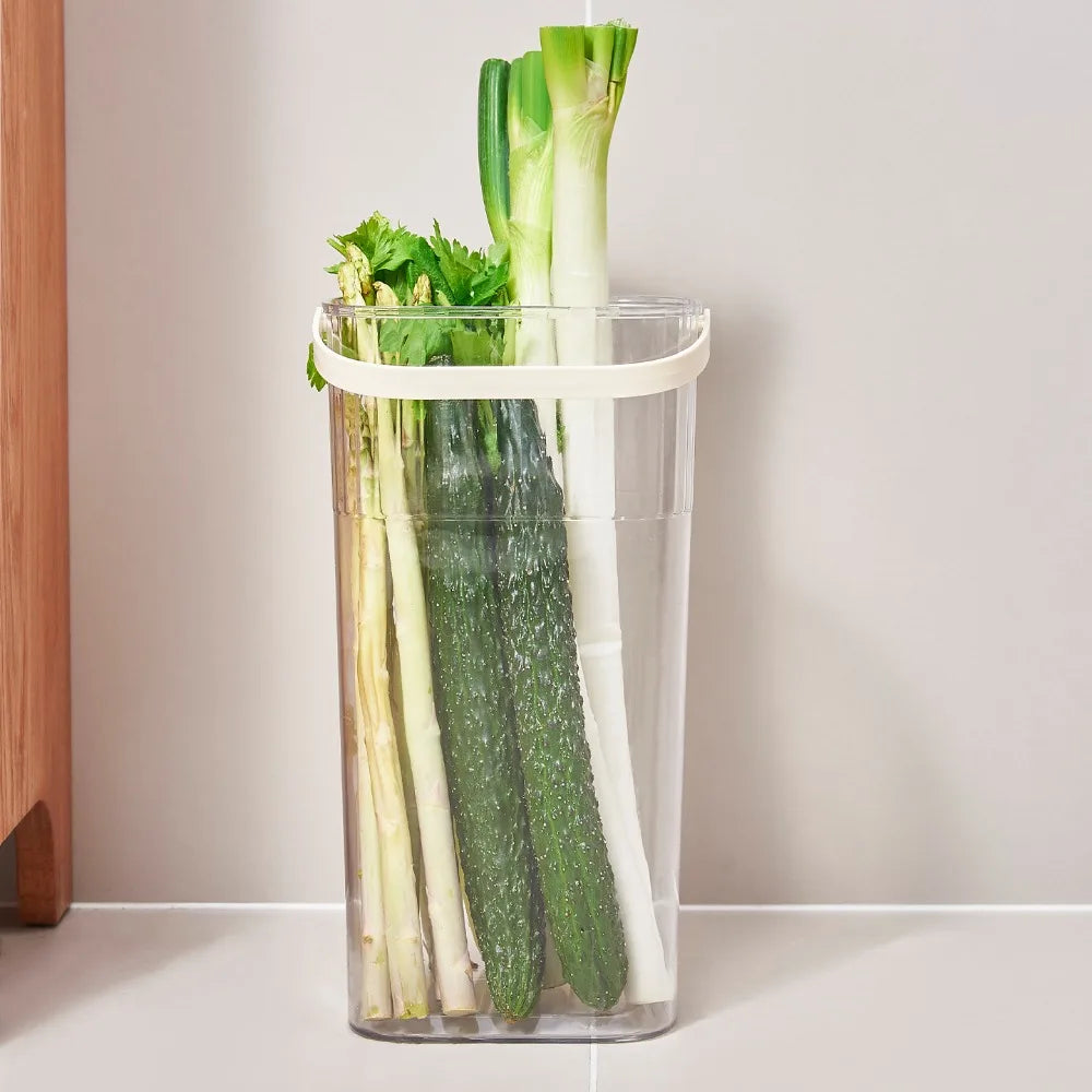 Transparent Vegetable Storage Bucket – Green Onion Organizer Vegetable Storage Bucket Richie's