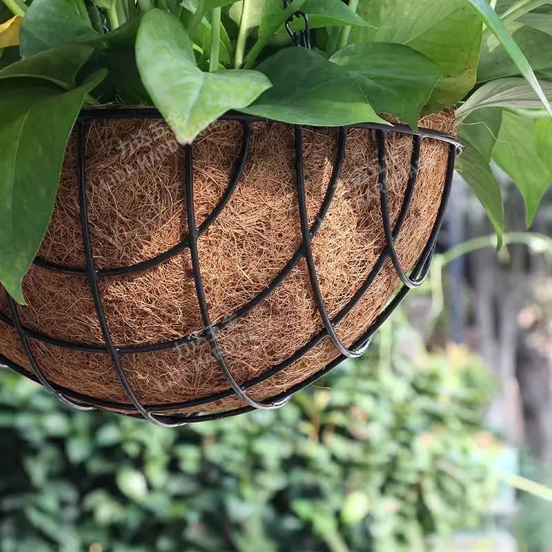 Iron Hanging Basket Flower Pot – Wall Garden & Courtyard Decor Hanging Basket Planter Richie's