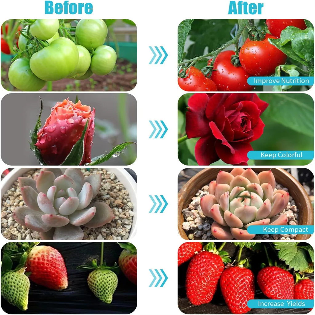 KEBINCPLED USB Clip Plant Grow Light – Dimmable LED 2/3 Head LED Plant Grow Light Richie's