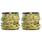 2 Rolls 10M Artificial Rattan Vine Rope – Simulation Leaf Decor Artificial Vine Rope Richie's Default Title